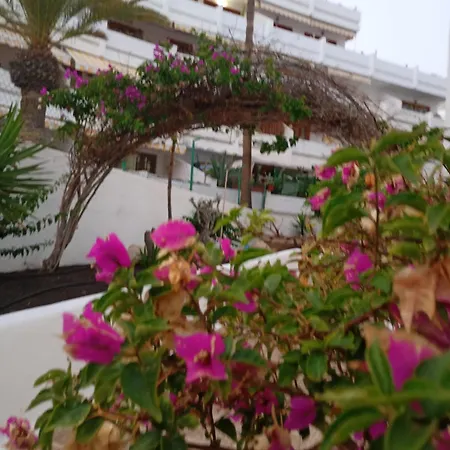 アパート - Sleeps 4 - Jacuzzi - Terrace - Pool *